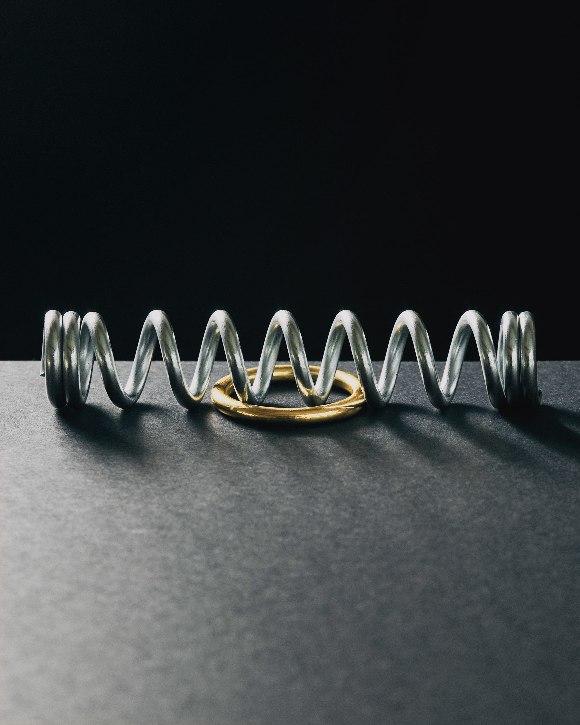 Ring & Spring Puzzle