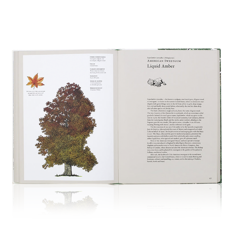 The Story Of Trees