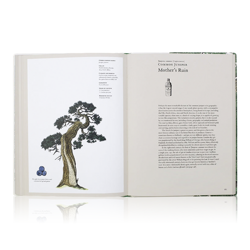 The Story Of Trees