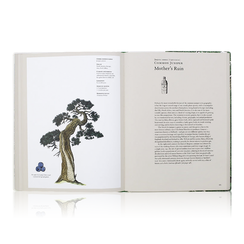 The Story Of Trees