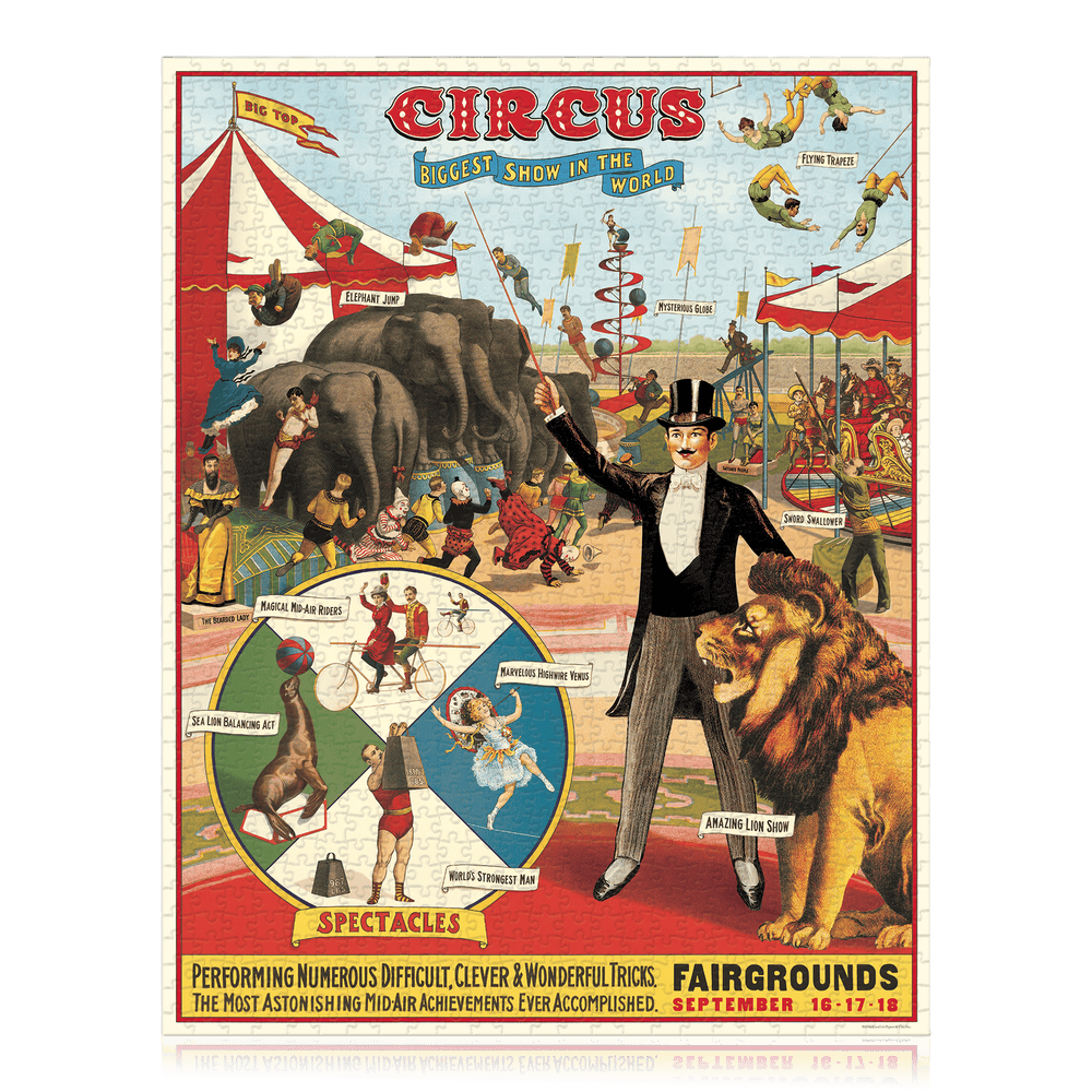 【虹色】ことりのおおきなあそびば Creative Playthings Circus Wooden Childrens Matching Puzzle