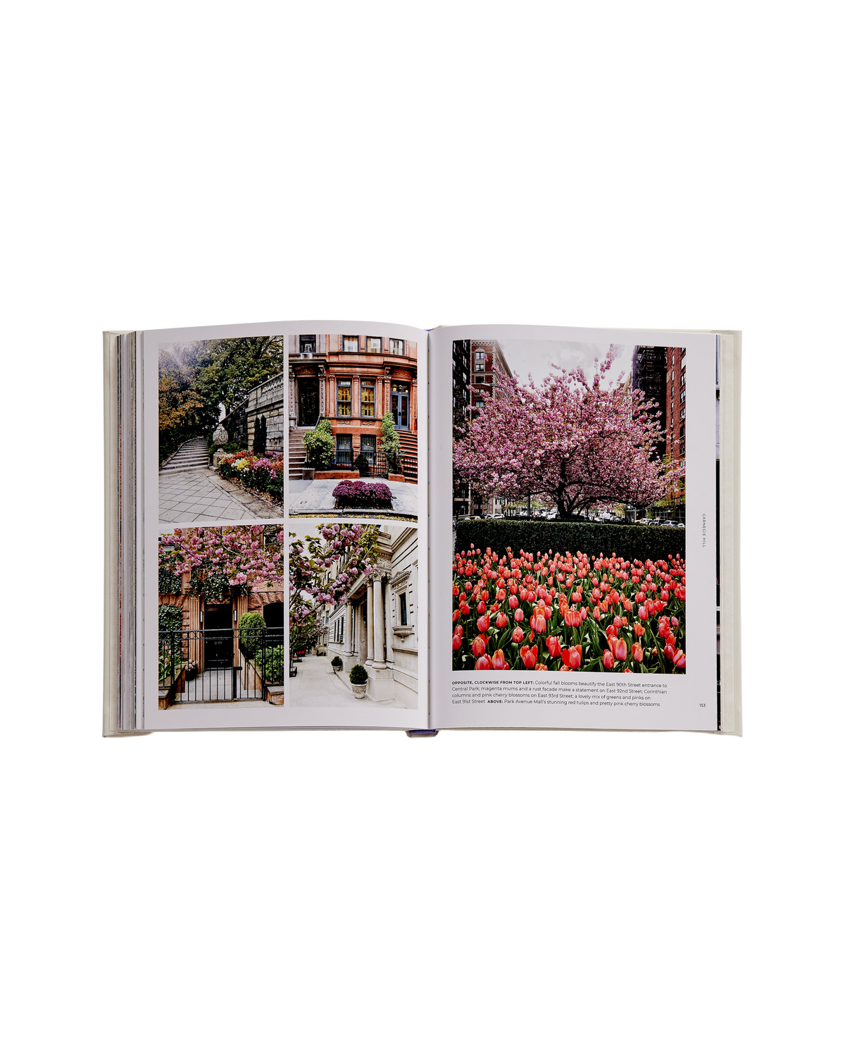 Walk With Me: New York, Leather Bound Edition