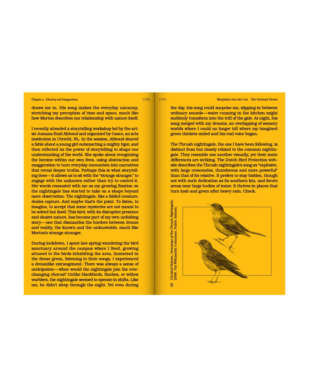 With a Bird: A Reader on Avian Kinship