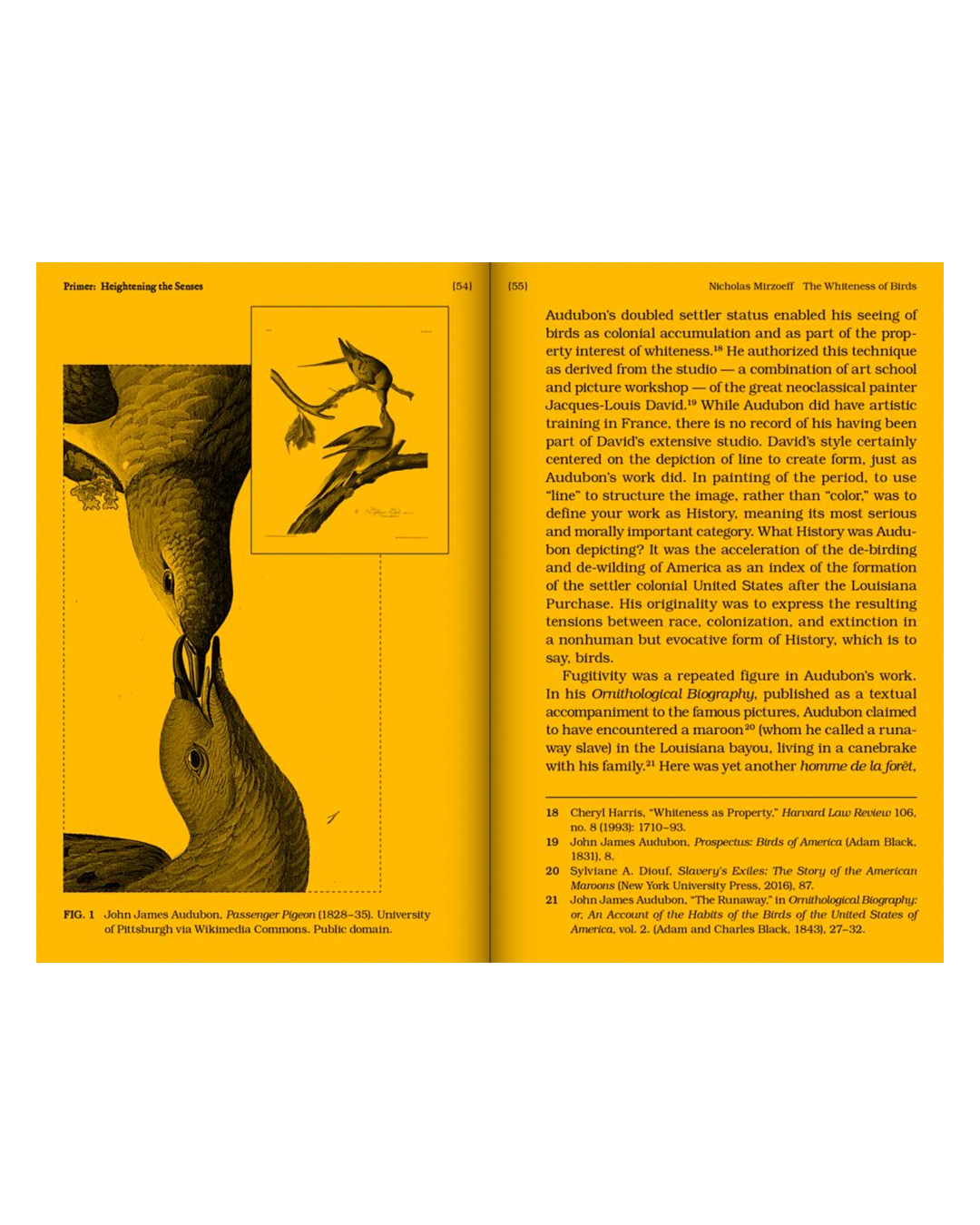 yellow pages of a book with birds feeding
