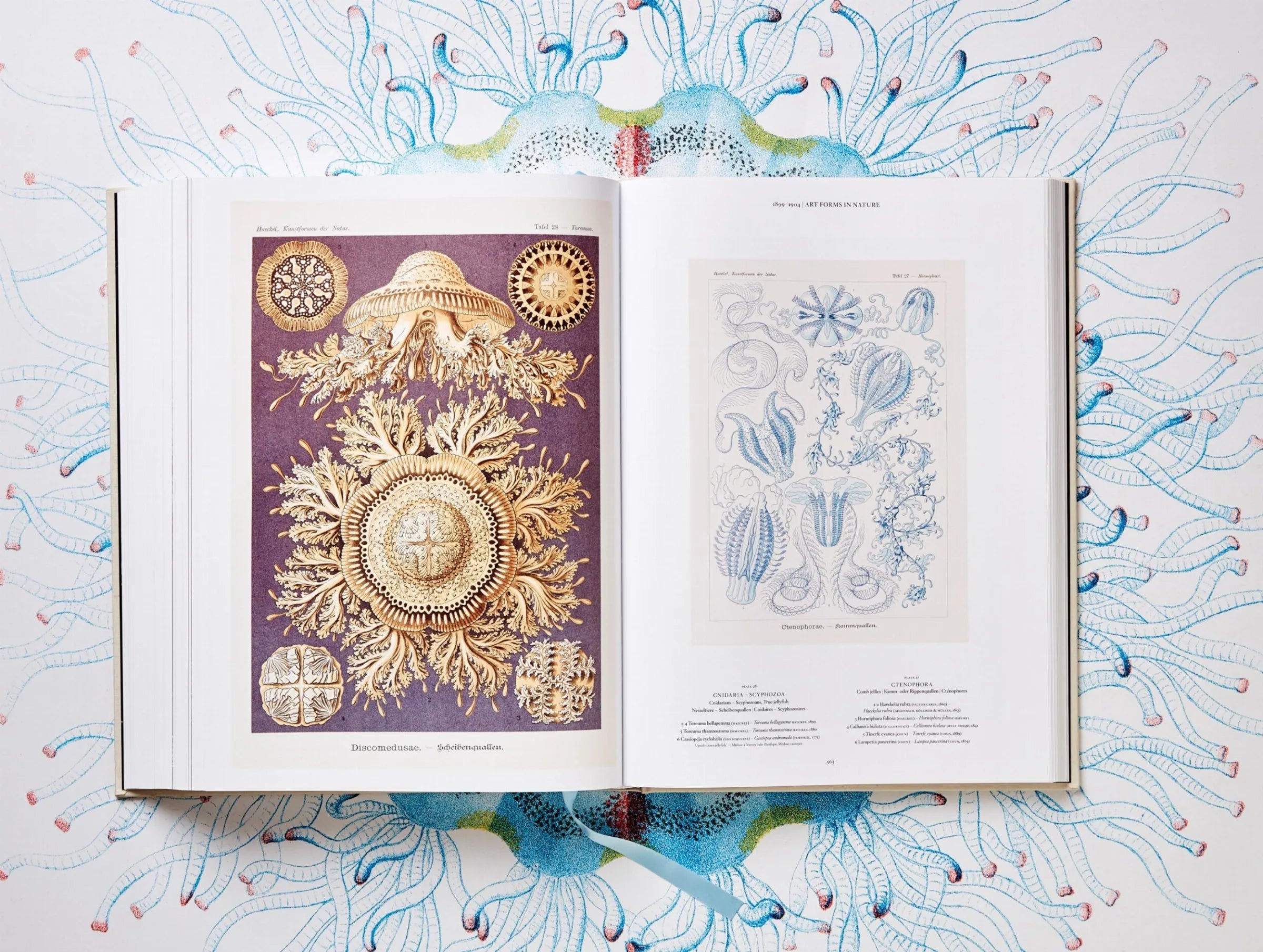 The Art and Science of Ernst Haeckel