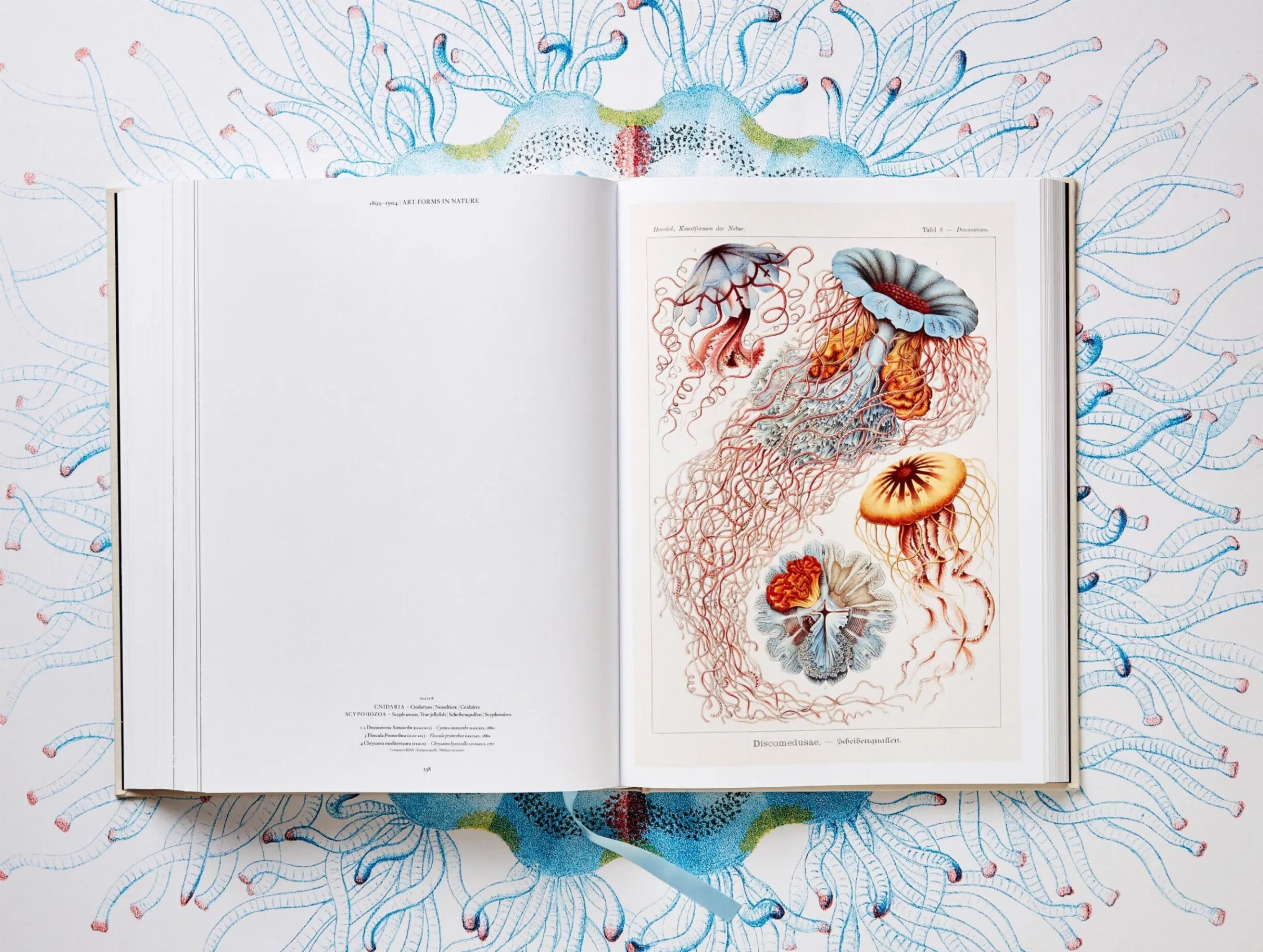 The Art and Science of Ernst Haeckel