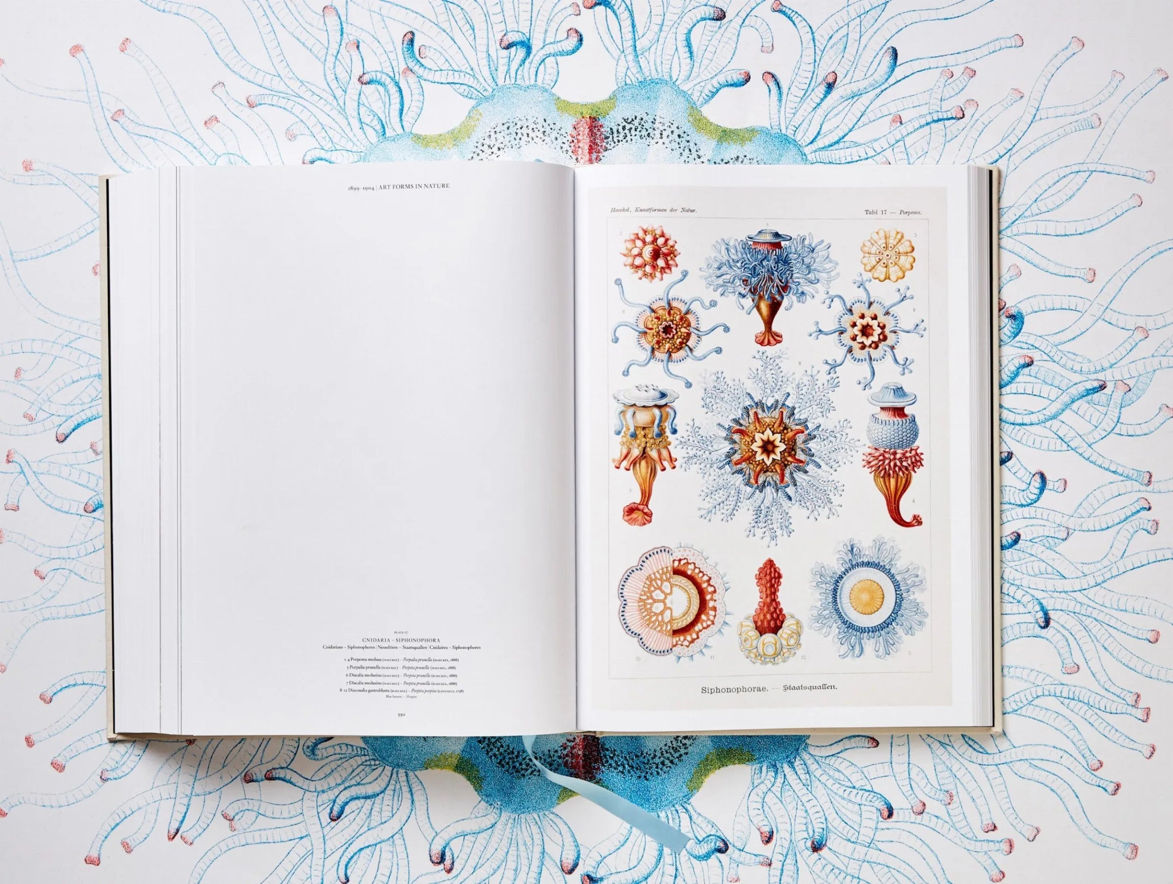 The Art and Science of Ernst Haeckel