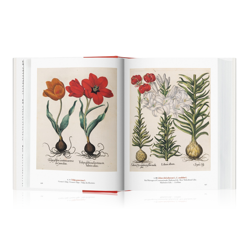 アート・デザイン・音楽 Masterpieces of Botanical Illustration A Garden Eden. Masterpieces of Botanical Illustration. 45th Ed