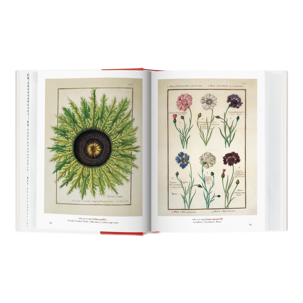 A Garden Eden: Masterpieces of Botanical Illustration by Hans