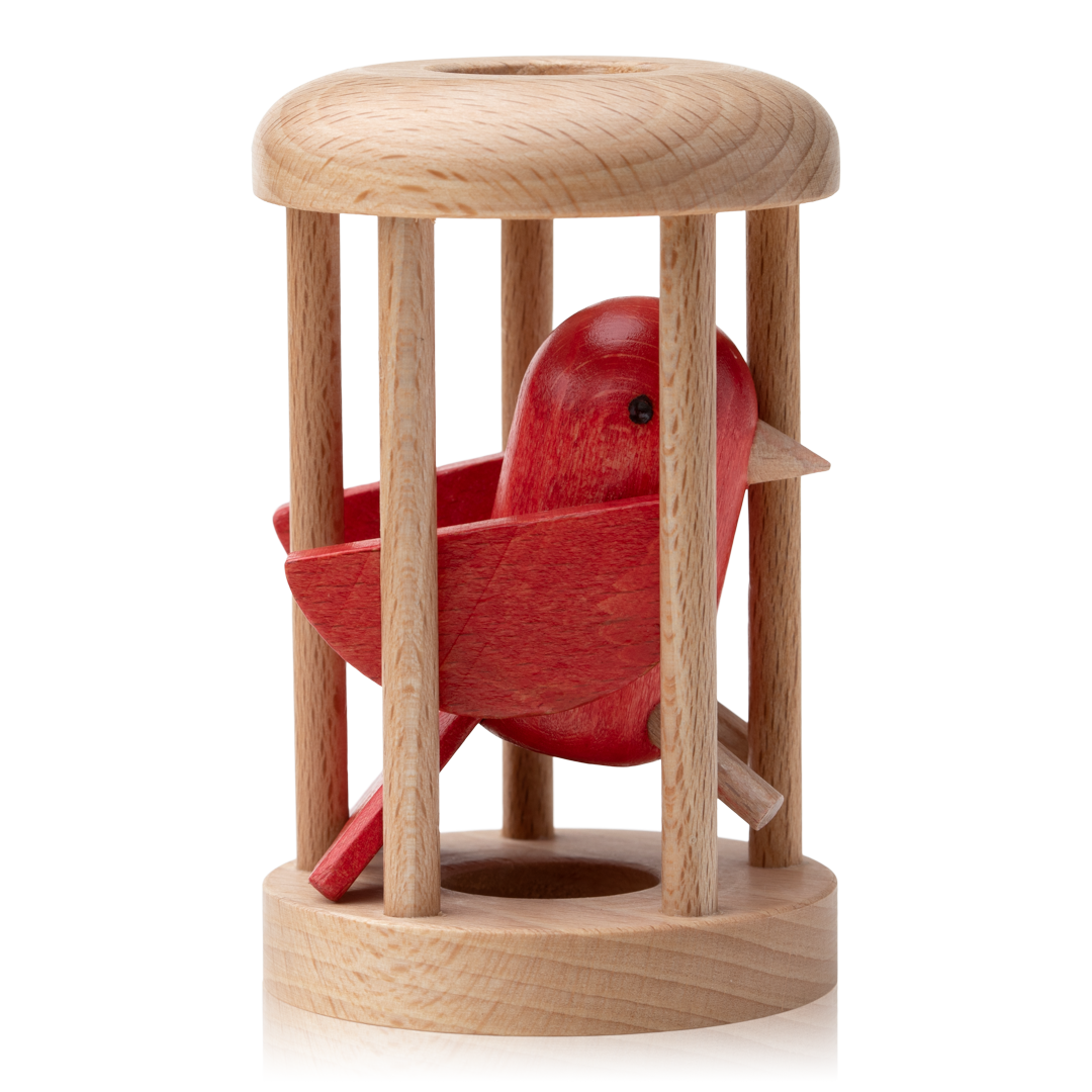 Bird in Cage Puzzle