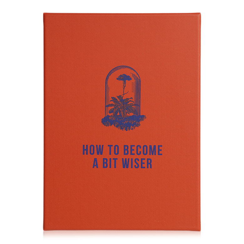 How To Become Wiser