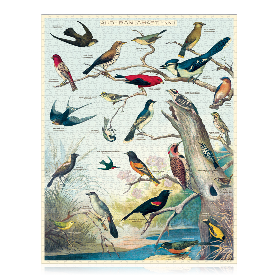 Vintage Audubon Birds puzzle