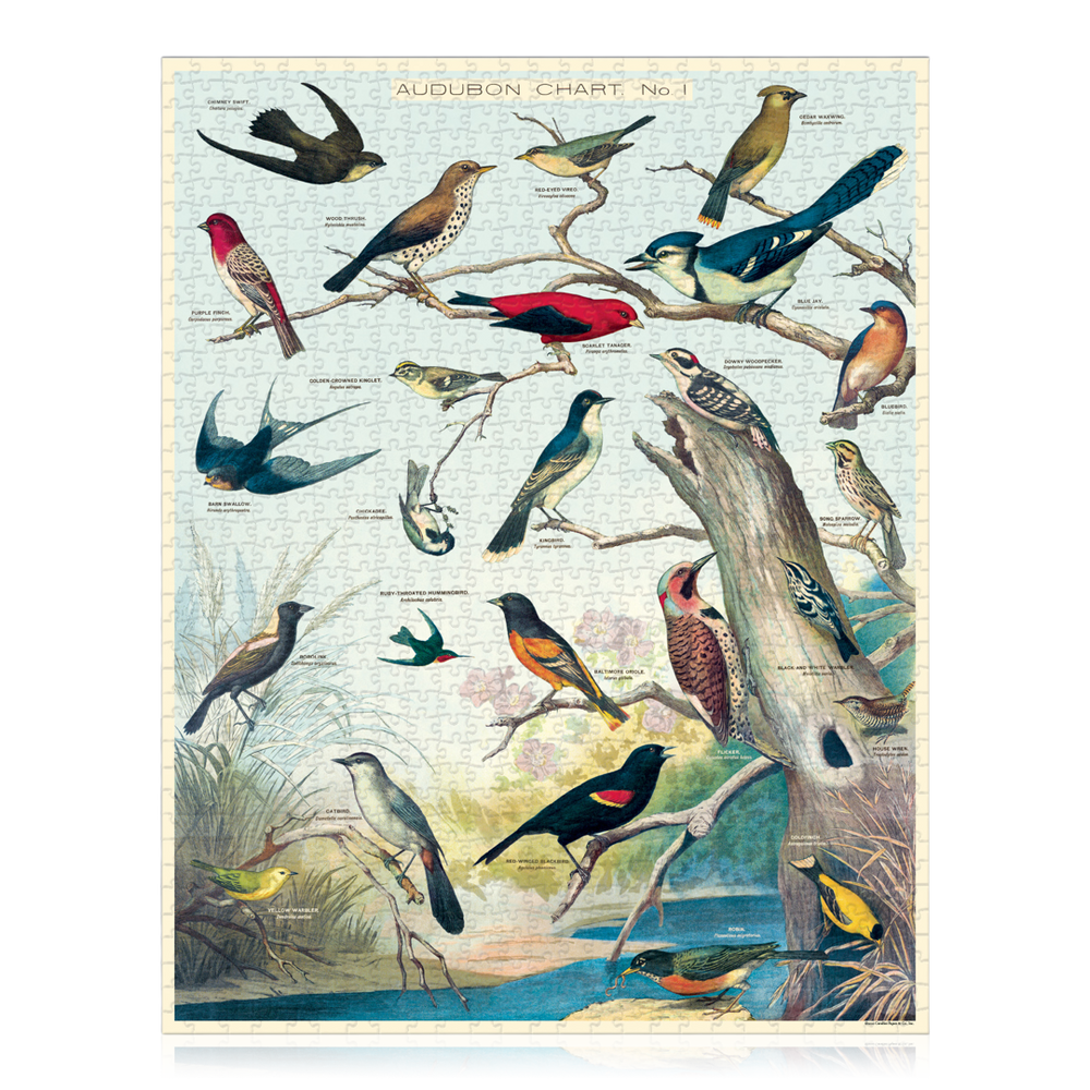Vintage Audubon Birds 1,000-piece Jigsaw Puzzle - Art of Play