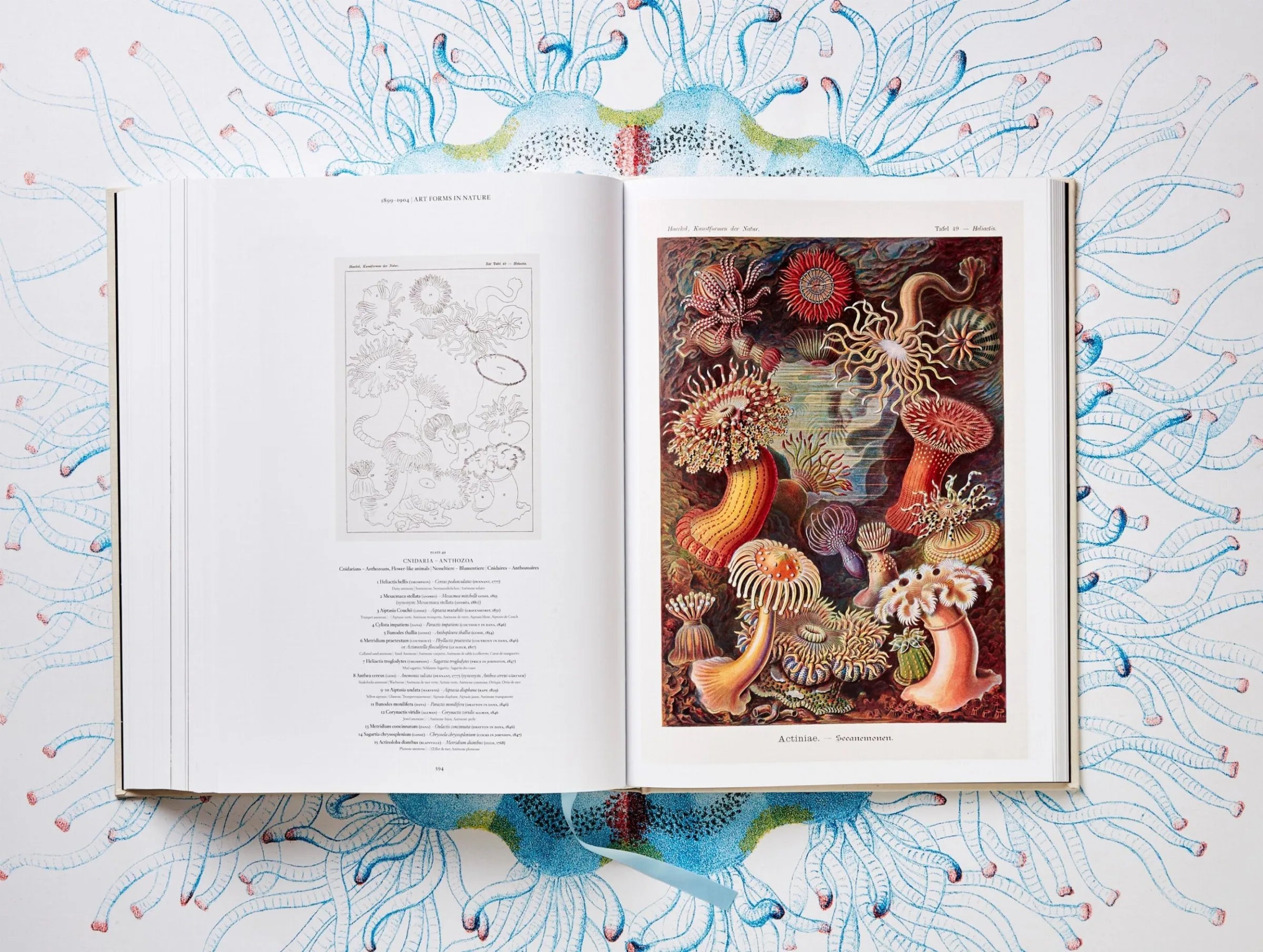 The Art and Science of Ernst Haeckel