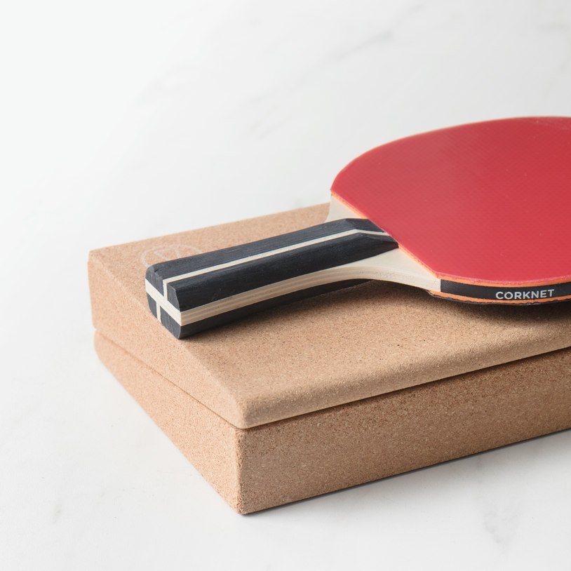 Review for Ping Pong - Collector's Edition