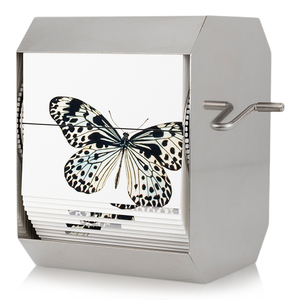 BUTTERFLY - 要プロフ確認  butterfly  マズノフFL 箱付き BUTTERFLY - 要プロフ確認様専用 butterfly マズノフFL 箱付きの