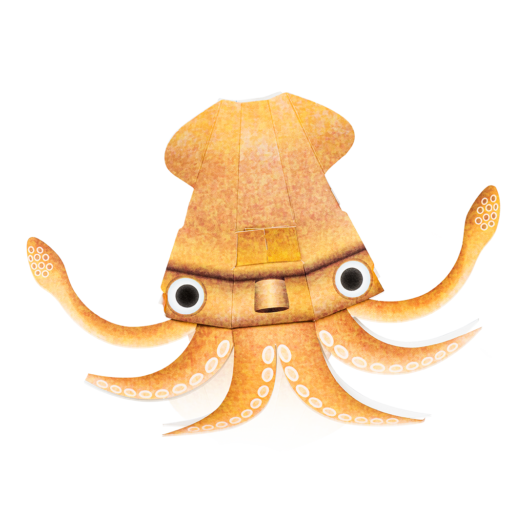 Flippin' Squid