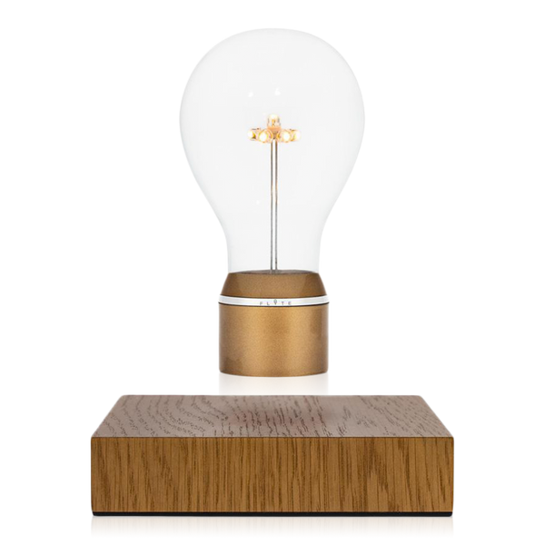 FLYTE ライト マンハッタン manhattan walnut chrome Refurbished Flyte