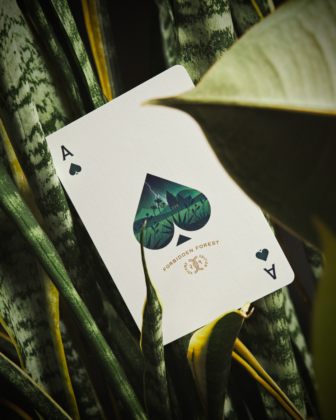 Forbidden Forest Playing Cards