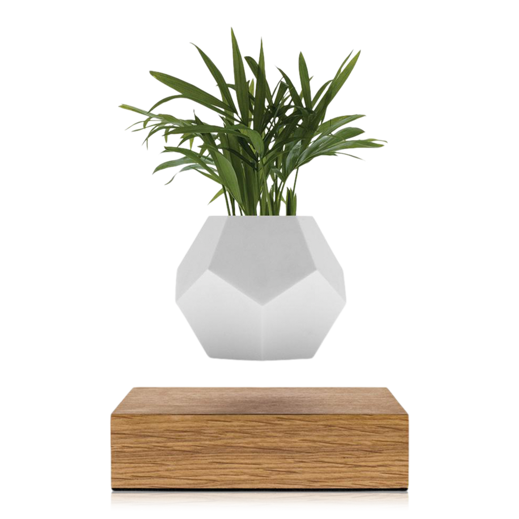 LYFE: Levitating Planter