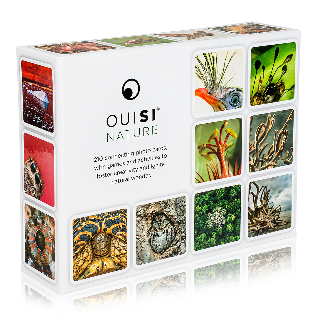 OuiSi Nature: Games of Visual Connection